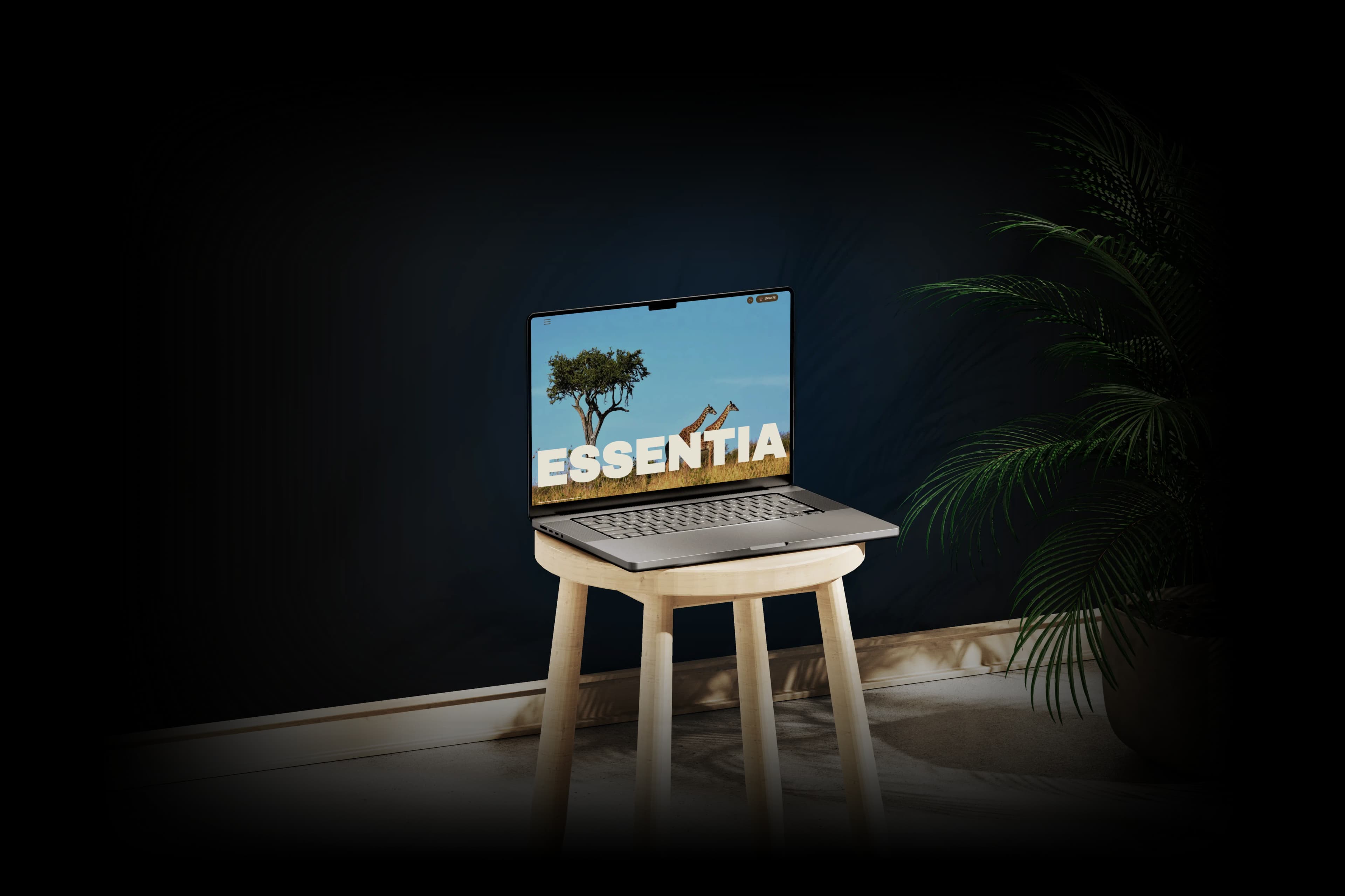 Essentia project